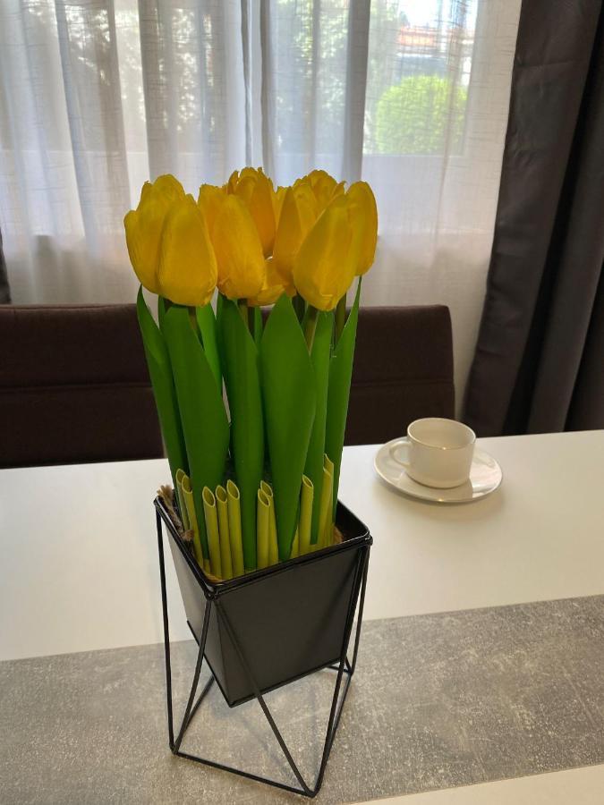 Apartment Dora Задар Экстерьер фото